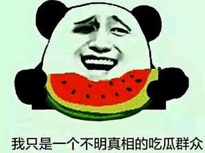 吃瓜网为什么这么火,揭秘网络热议背后的热门现象