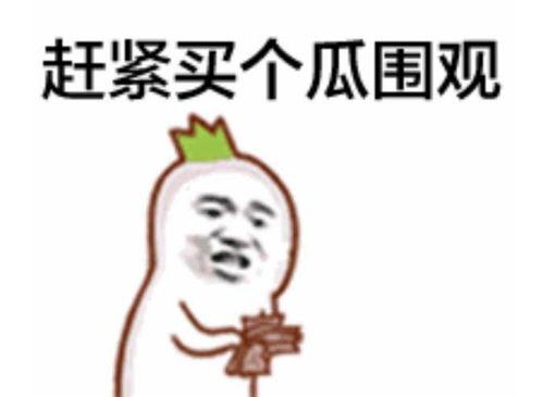 吃瓜群众网红视频下载,揭秘热门短视频背后的秘密