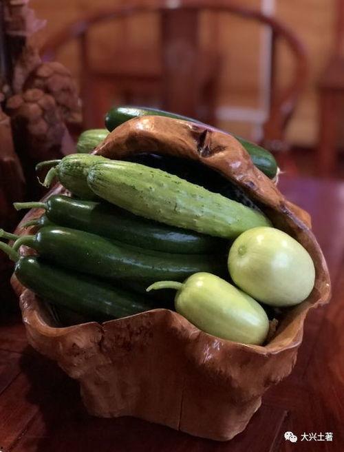 网红吃瓜的网页叫什么