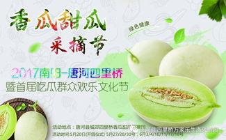 吃瓜大合集网红,网红圈的那些事儿