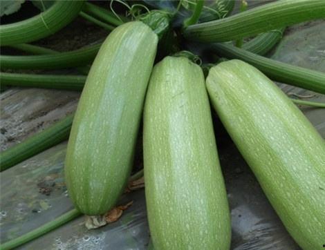 瓜多多网红吃瓜,揭秘娱乐圈幕后真相