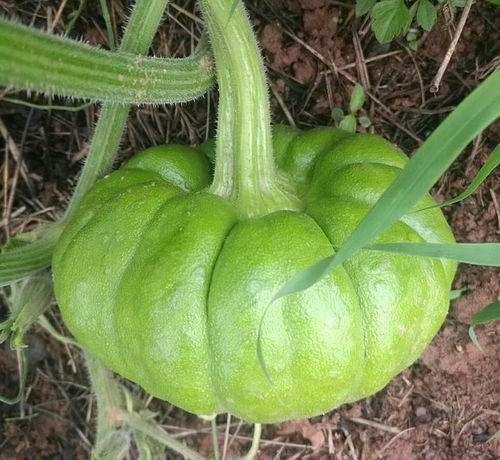 姜姜吃瓜网,揭秘娱乐圈幕后故事，带你领略明星真实生活