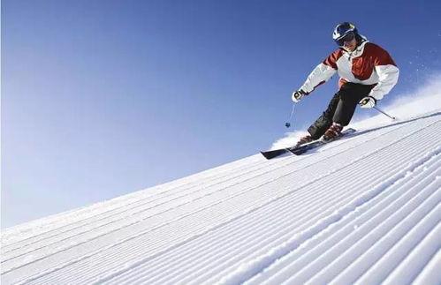 滑雪网红吃瓜视频大全免费观看,免费观看，笑料不断！