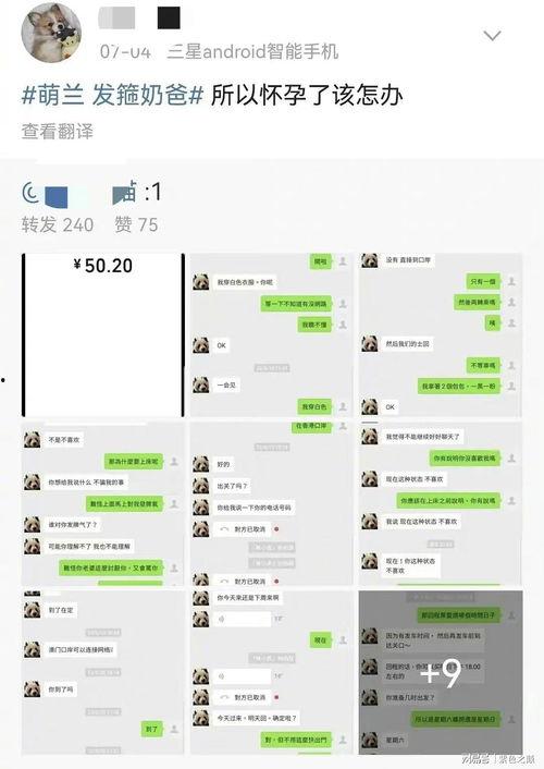 吃瓜事件网红聊天记录,一场网络风波背后的真相