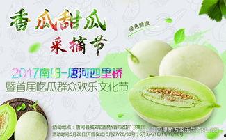 网红吃瓜大集合集是什么,揭秘娱乐圈幕后风云