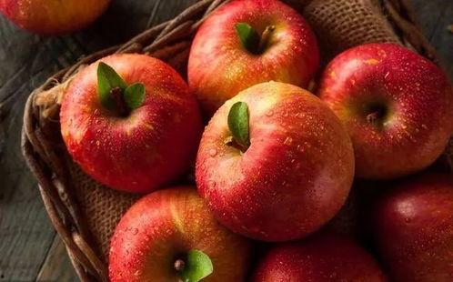 51吃瓜官网全网最新苹果