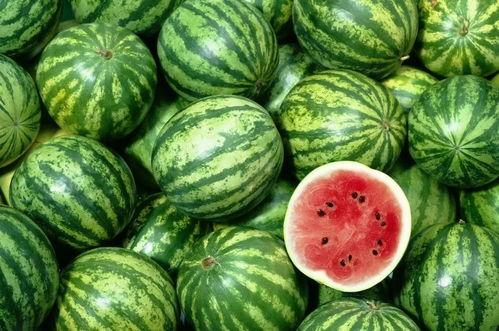 吃瓜网红名单大全图片,吃瓜网红名单大全大揭秘