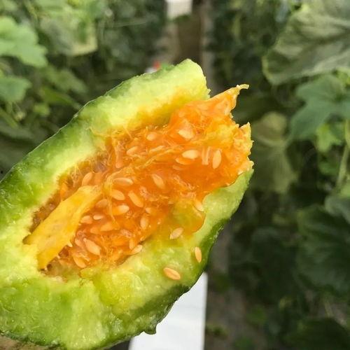 吃瓜网红头像高清,揭秘吃瓜网红高清头像背后的魅力